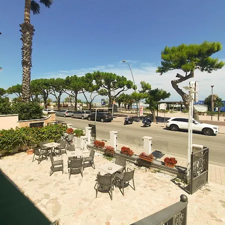 Alide Trilo 2p - Myho Casa * トルトレート